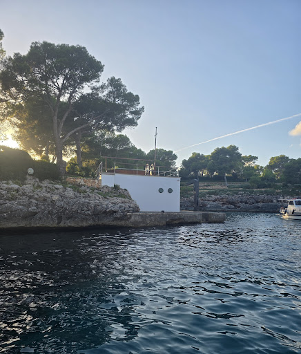 Photo from customer review