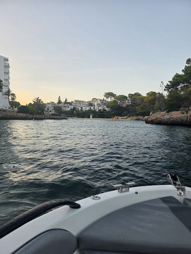 Photo from customer review