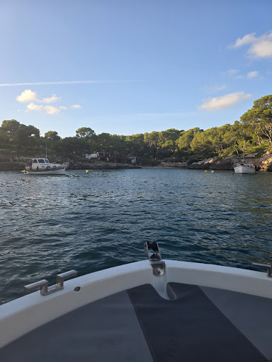 Photo from customer review